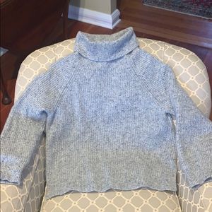 NWOT J. Crew chunky neck sweater